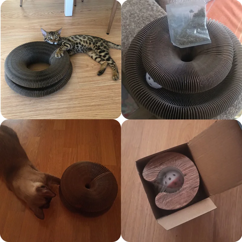 Coomgo™ Interactive Cat Tunnel Toy