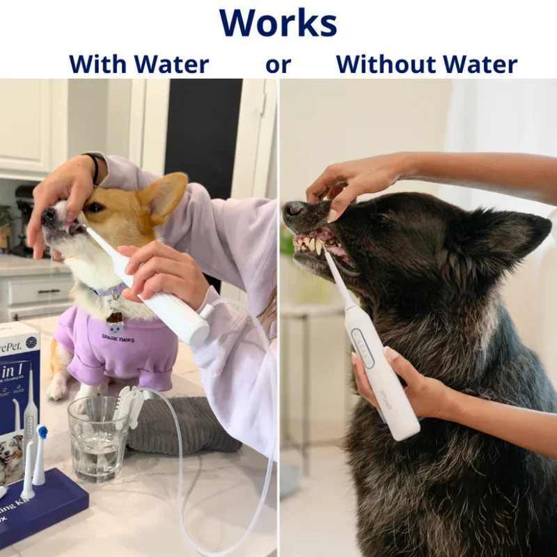 Gentle At-Home Dental Care for Your Dog – Fresher Breath, Brighter Smile
